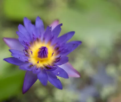 号码冷热统计